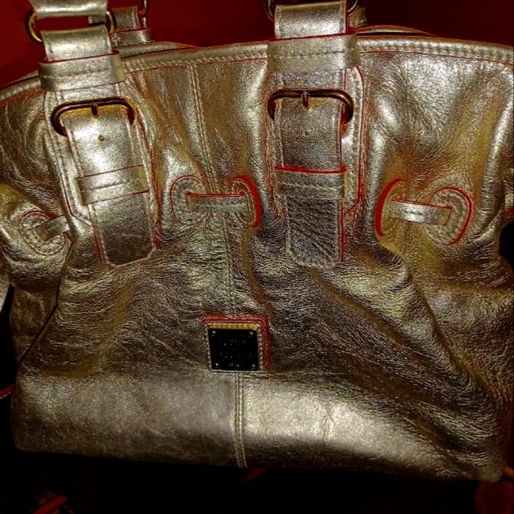Dooney & Bourke large metallic purse
